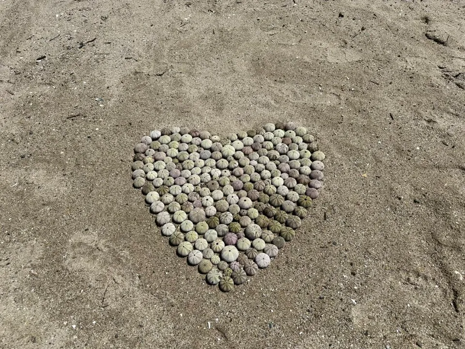 Фото: из личного архива Ирины Григорьевой