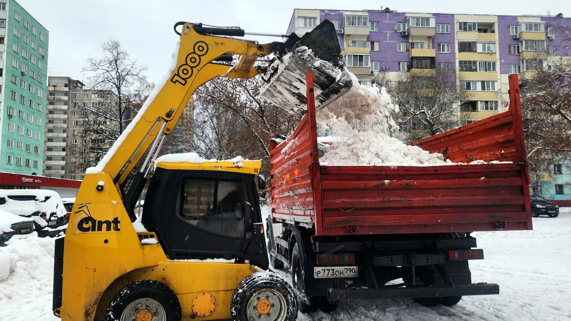 Фото: Мария Овчинникова