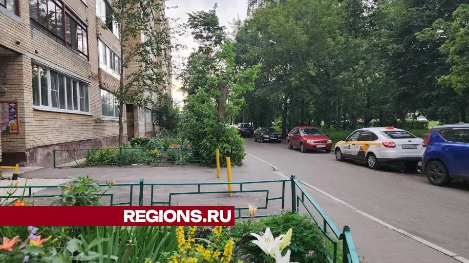 Фото: Ольга Сычева