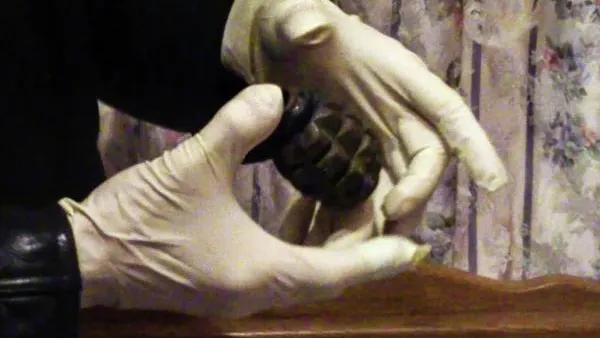 В Петергофе найдена граната времен ВОВ