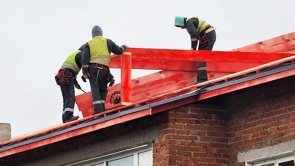 Фото: МедиаБанк Подмосковья/Марина Анисимова