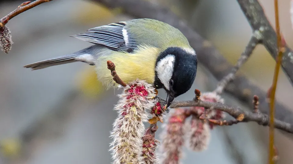 Фото: REGIONS/Антон Кондратюк