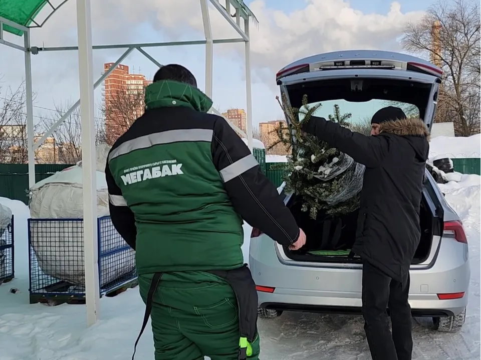 Фото: МедиаБанк Подмосковья/Валерия Ерофеева&nbsp;