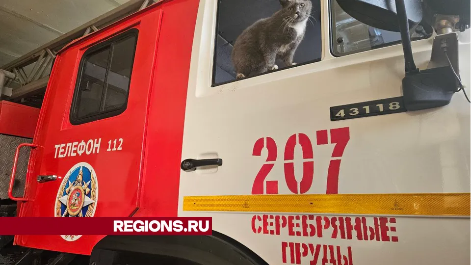 Фото: ГКУ МО «Мособлпожспас»