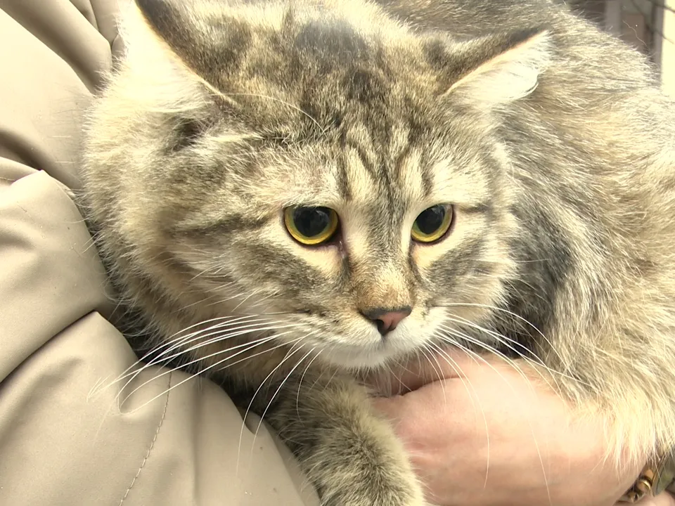 Муся.&nbsp;Фото: Ксения Казакова