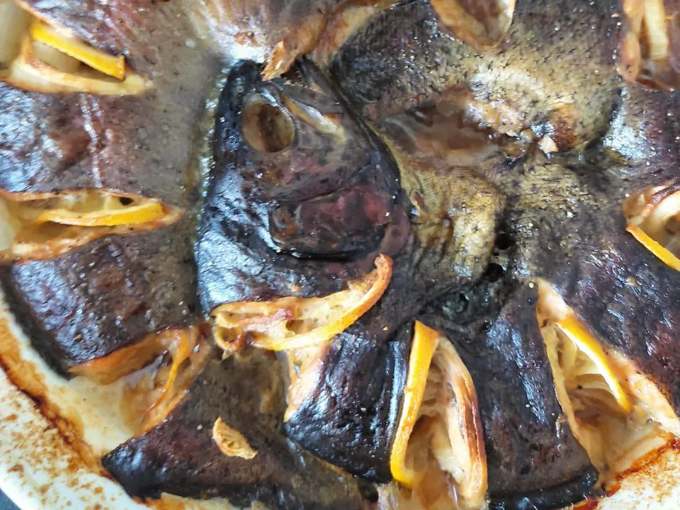 Фото: REGIONS/Ирина Горбачева