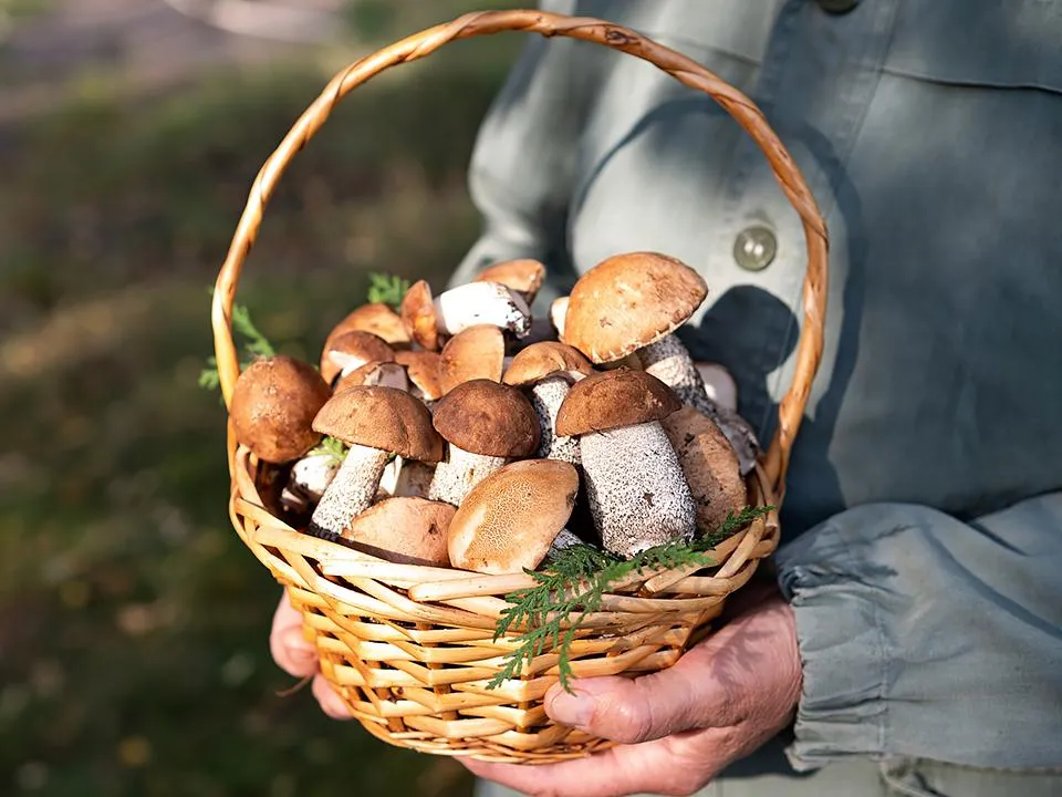 Фото: istockphoto.com