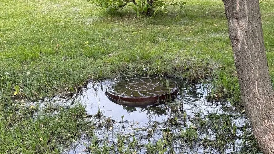 Фото: управление экологии городского округа Мытищи