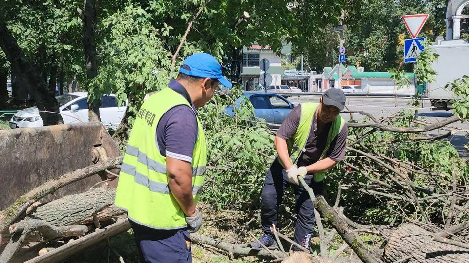 Фото: Наталья Лымарь