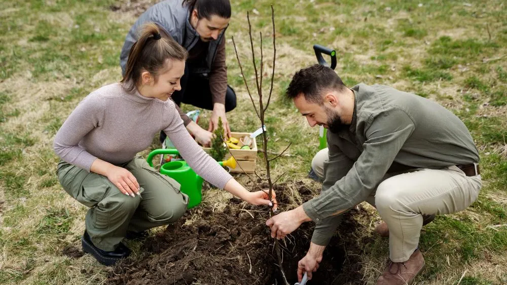 Фото: freepik.com