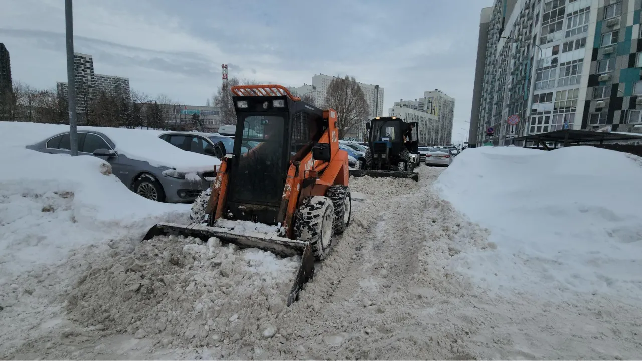 МедиаБанк Подмосковья/Наталья Лымарь