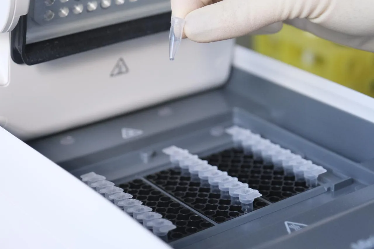 Фото: Мария Панина