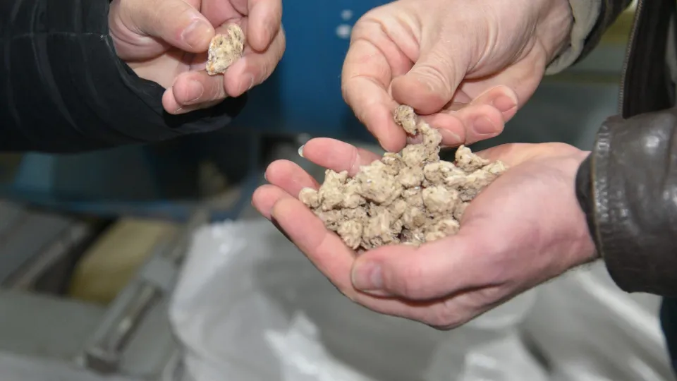 Фото: пресс-служба администрации м.о. Лотошино