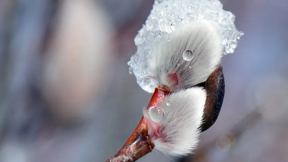 Фото: pxhere.com