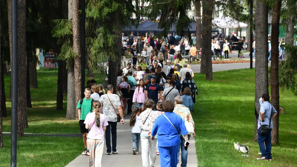 Фото: Министерство благоустройства МО