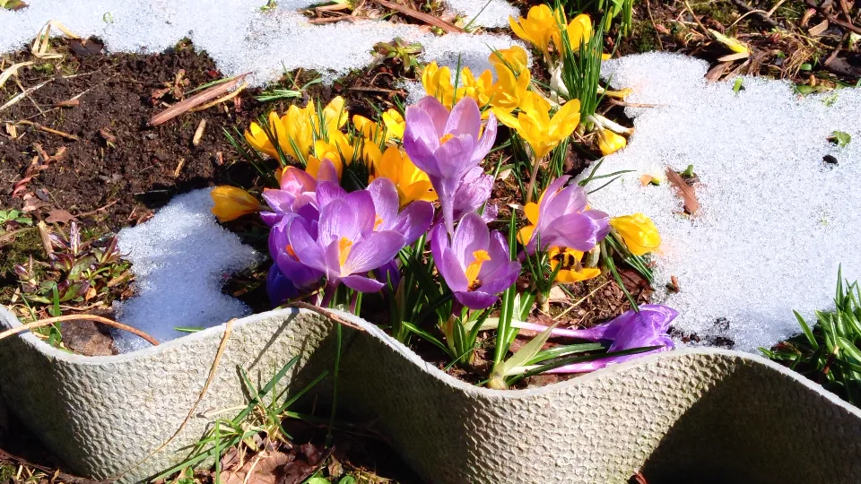 Фото: REGIONS/Василий Тремасов