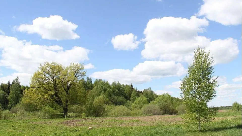 Фото: Министерство имущественных отношений Московской области