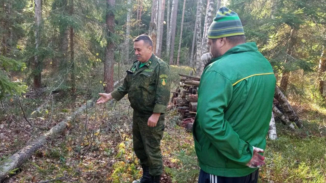 Сотрудники лесной охраны рассказывают жителям Подмосковья о правилах заготовки валежника