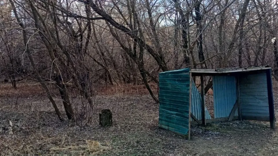 Фото: пресс-служба администрации г. о. Серпухов