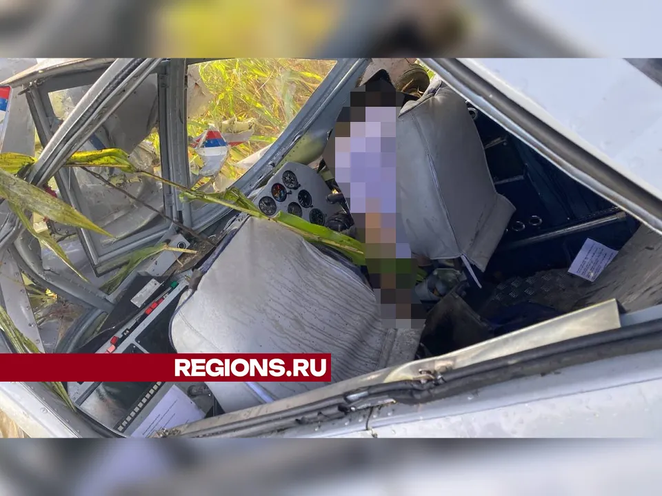 Фото: REGIONS<br>