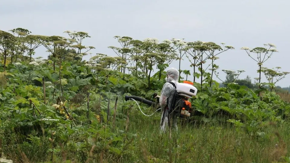Фото: пресс-служба администрации Волоколамского м.о.