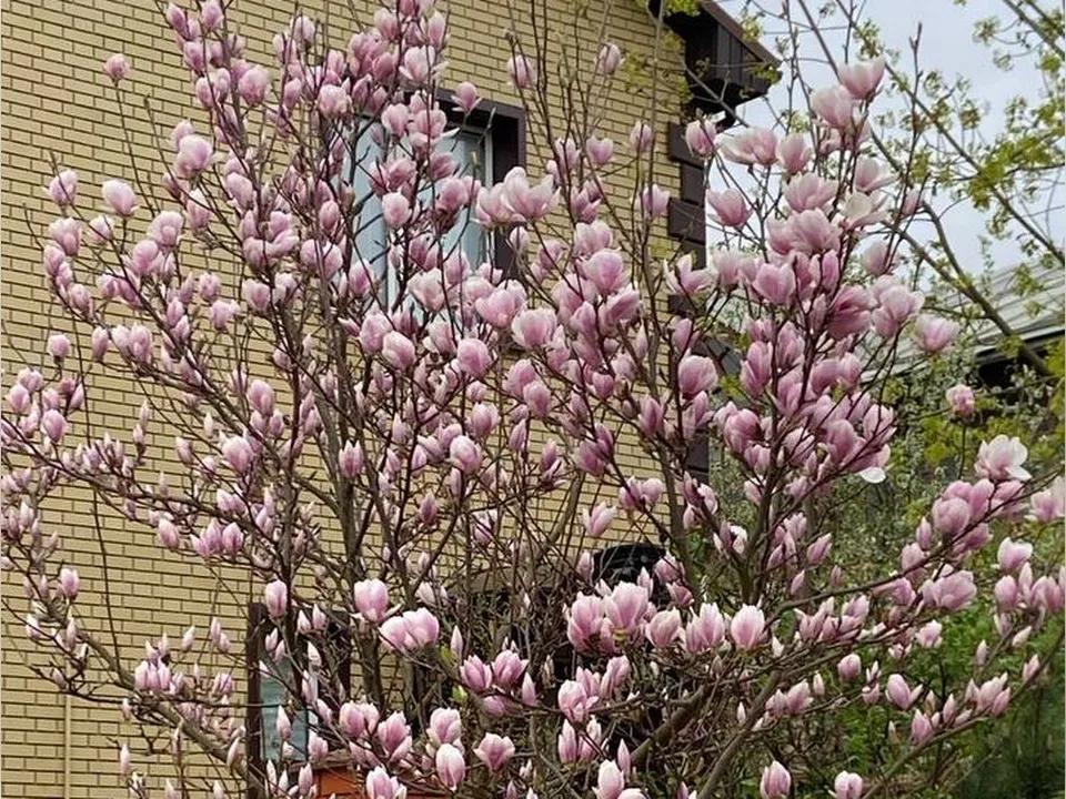 Фото: t.me/turizm_dmd