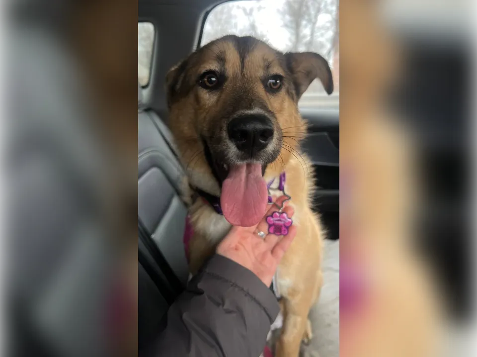 Фото: волонтер Анна&nbsp;