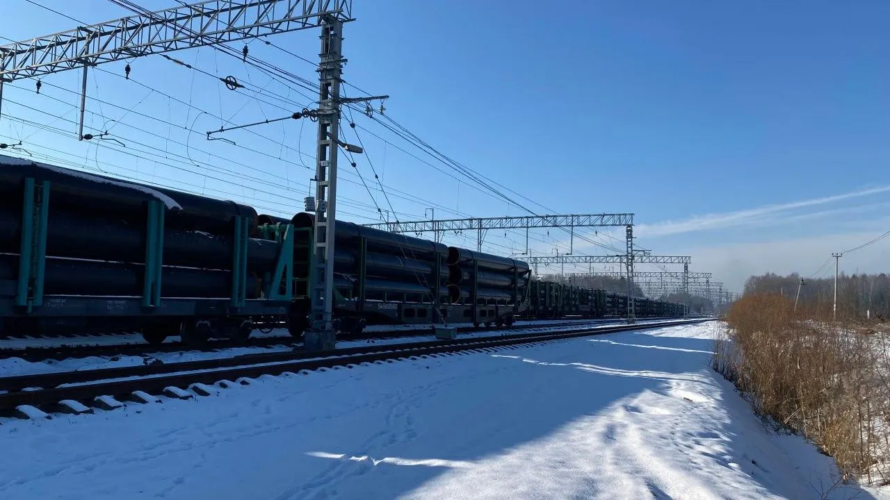 Фото: пресс-служба администрации г.о. Сергиев Посад