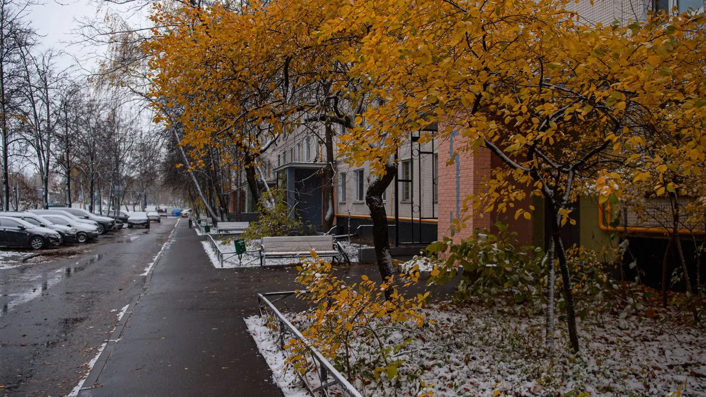 Фото: медиасток.рф