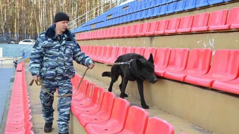 Пресс-служба Дмитрия Пестова