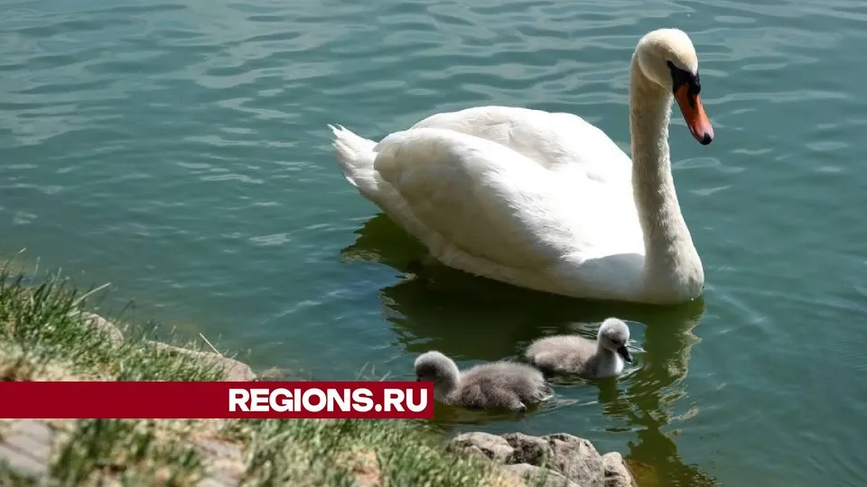 Фото: Дарья Леонова