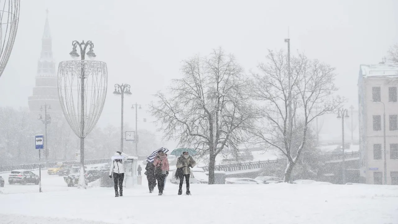 медиасток.рф