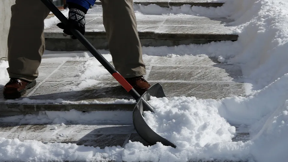 Фото: istockphoto.com/galinast