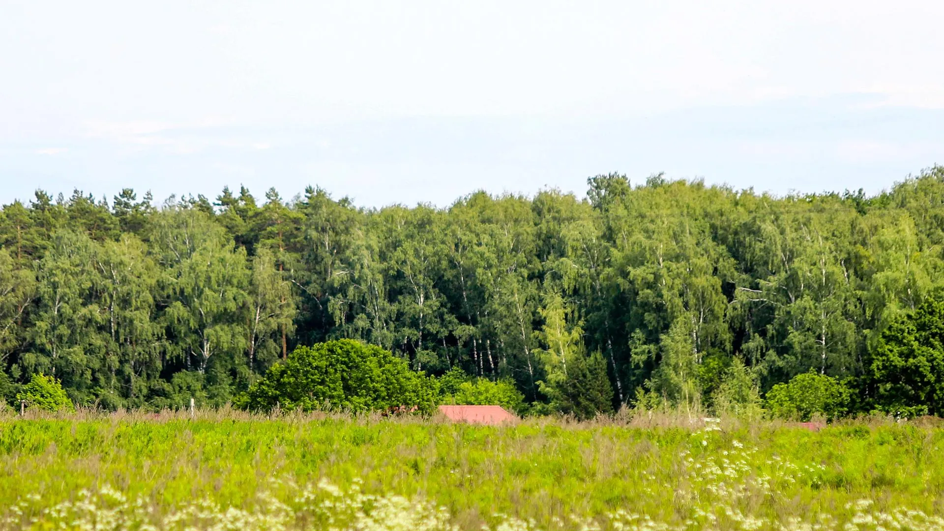 Виталий Ватулин