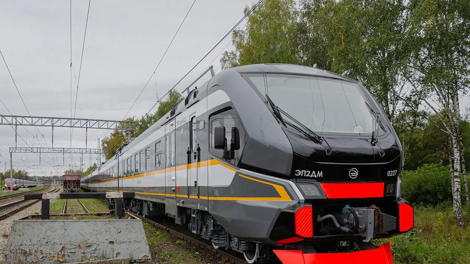 Фото соцсети.