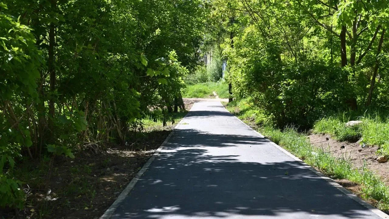 Фото: пресс-служба администрации Дмитровского г.о.