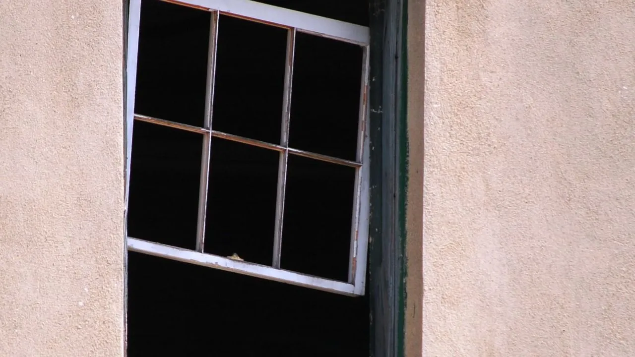 Минобороны РФ сообщило о потерях ВСУ на Курском направлении за прошедшие сутки