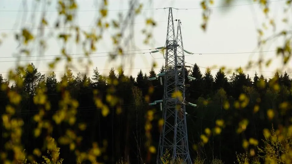 Фото: медиасток.рф