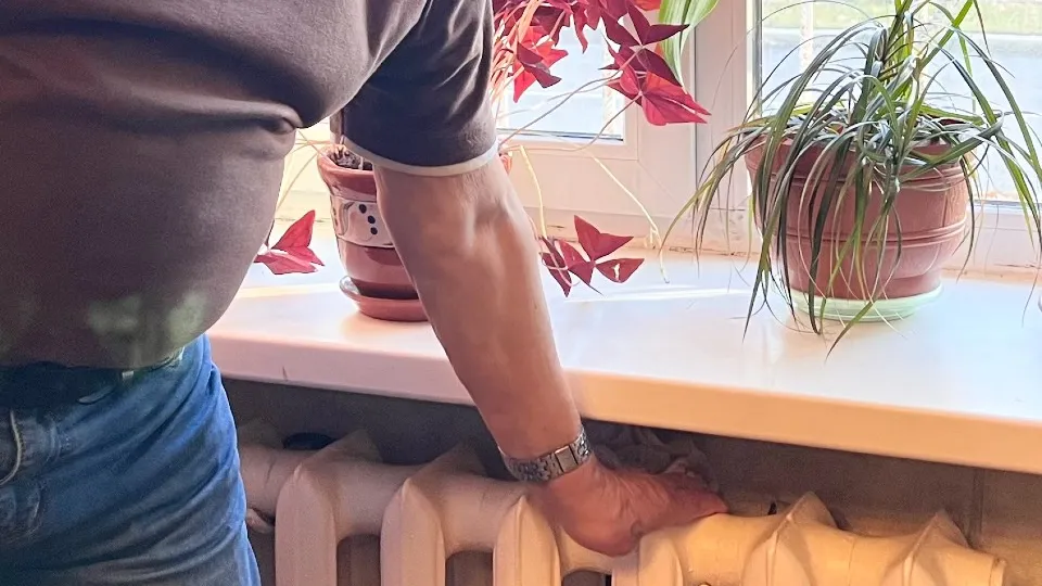 Фото: МедиаБанк Подмосковья/Ирина Мальцева