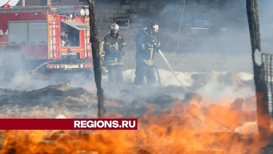 Фото: REGIONS/Александр Дрожжин