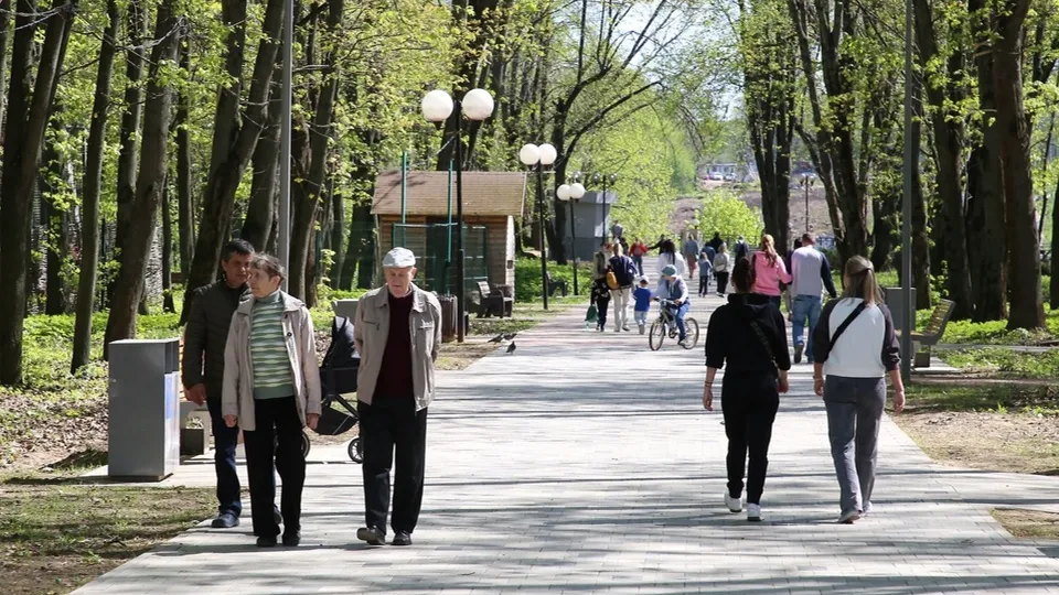 Фото: Пресс-служба администрации г.о. Химки