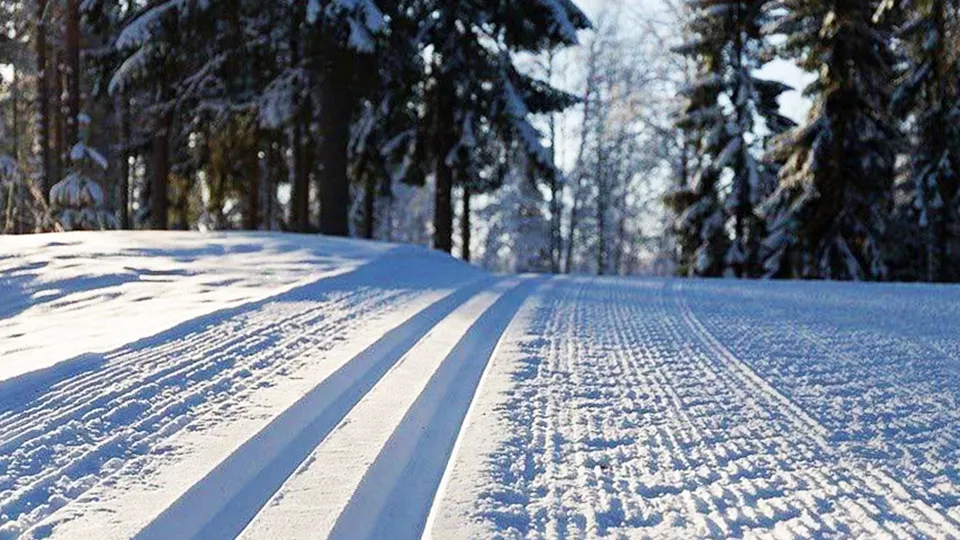 Фото: пресс-служба администрации м.о. Чехов