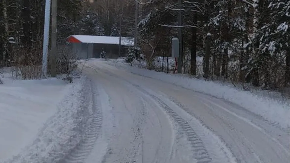 Фото: пресс-служба администрации г. о. Черноголовка