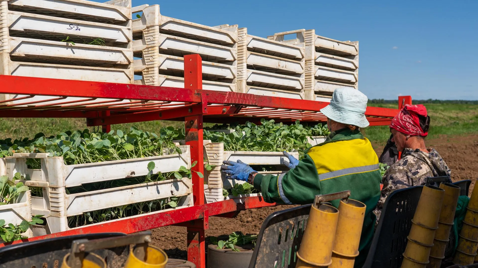 Фото: медиасток.рф