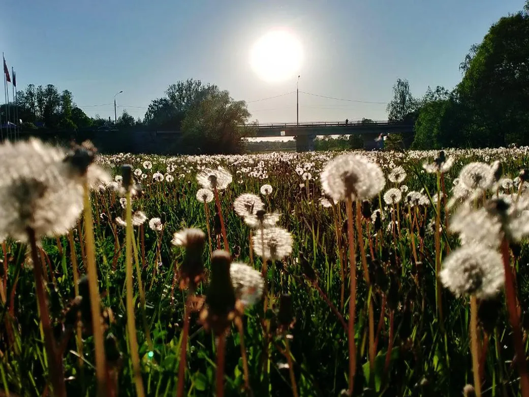 Фото: t.me/parkrivera