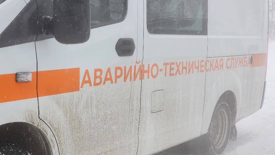 Фото: МедиаБанк Подмосковья/Алена Притула