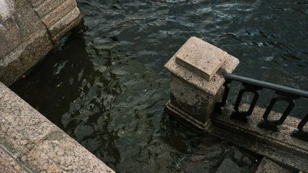 В Петербурге в канале Грибоедова обнаружено большое маслянистое пятно