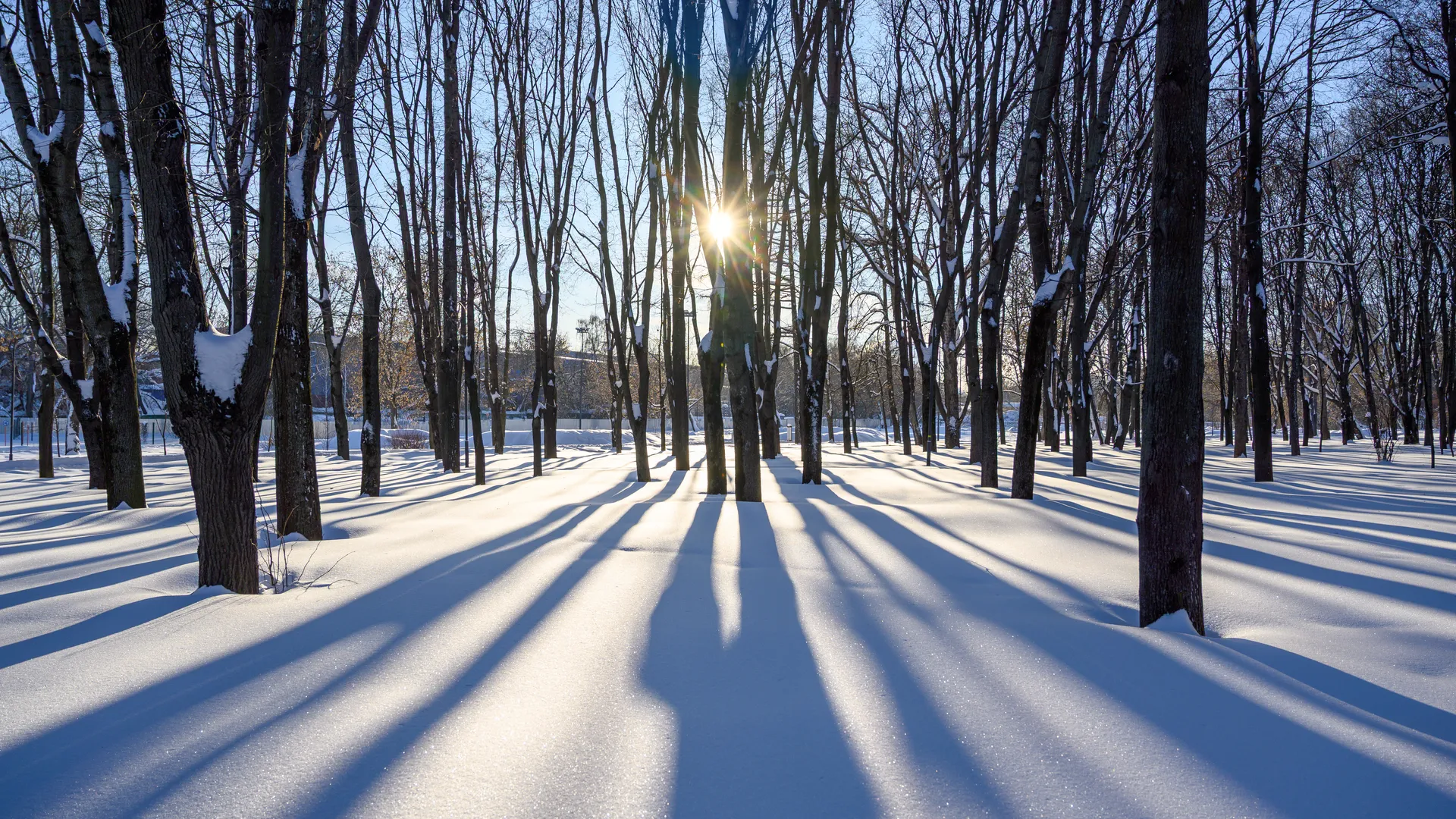 медиасток.рф
