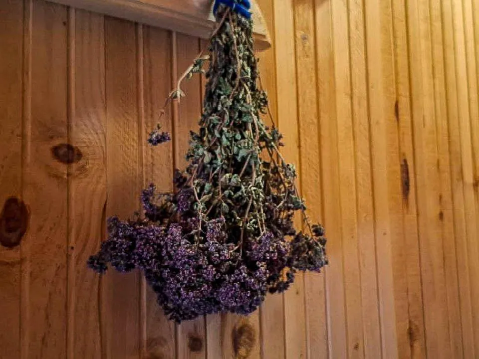 Сауна, ноутбук и стероиды: названы неожиданные причины мужского бесплодия