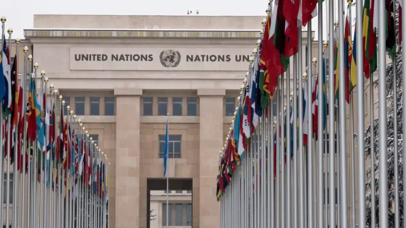 СПЧ направил в международные организации очередную подборку военных преступлений ВСУ